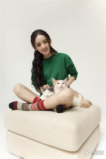赵丽颖性感露肩写真手机壁纸第0张