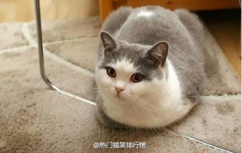 第3张