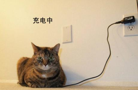 图片 _ 第(4)张
