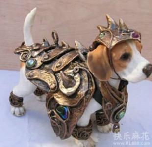 图片 _ 第(6)张