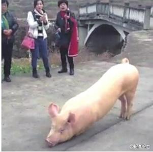 图片 _ 第(5)张 图片 _ 第(5)张