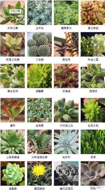 第0张