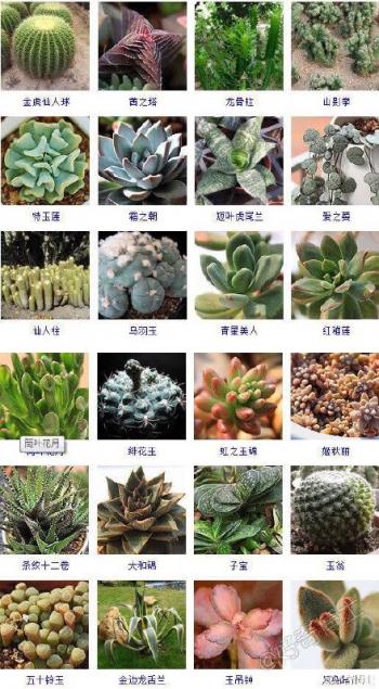 图片 _ 第(5)张