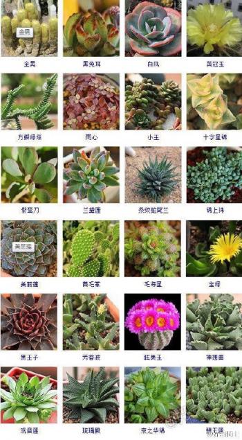 图片 _ 第(9)张