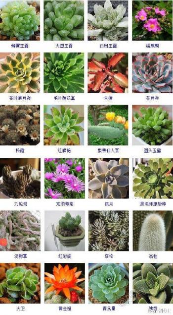 图片 _ 第(10)张