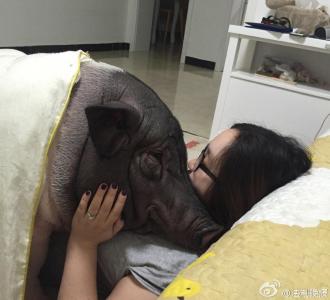 图片 _ 第(3)张