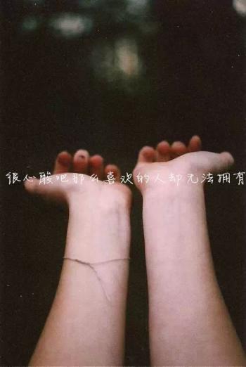 第3张