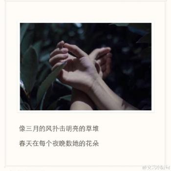 谢娜图片图片 _ 第(14)张