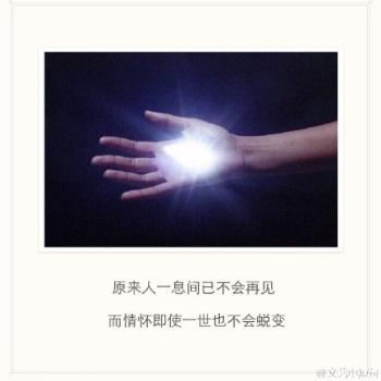 谢娜图片图片 _ 第(15)张