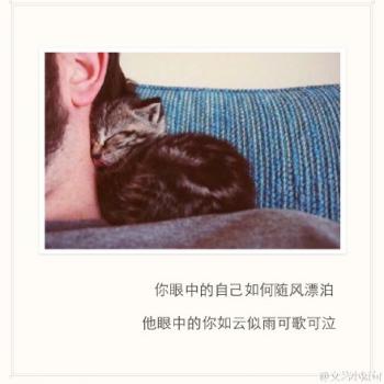 谢娜图片图片 _ 第(17)张