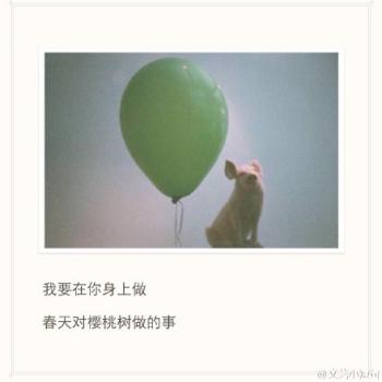 谢娜图片图片 _ 第(18)张
