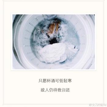 谢娜图片图片 _ 第(19)张