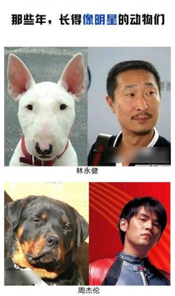 恶搞图片 _ 第(7)张