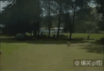 经典搞笑gif图片图片 _ 第(3)张