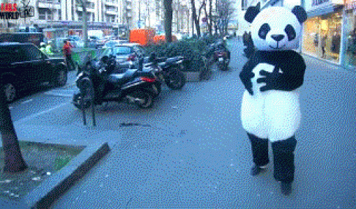 恶搞图片 _ 第(12)张