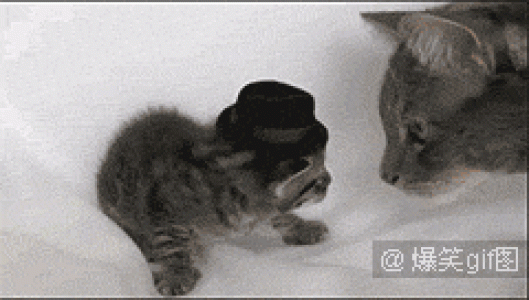 恶搞图片 _ 第(6)张