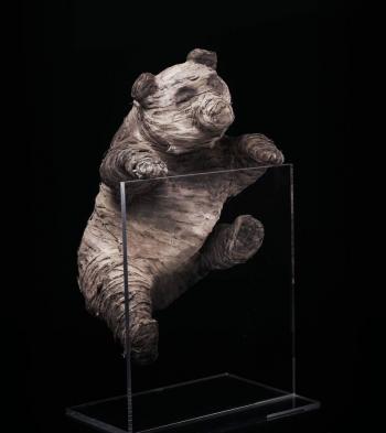 黄晓明图片 _ 第(13)张