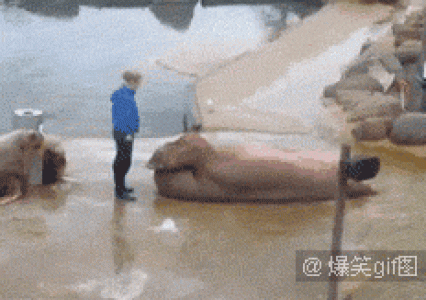 六一儿童节搞笑GIF动画QQ表情图片第5张