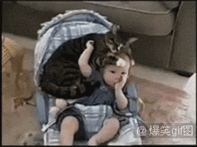 经典搞笑gif图片图片 _ 第(4)张