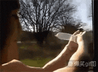 经典搞笑gif图片图片 _ 第(7)张