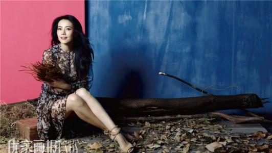高圆圆时尚芭莎大片婉约迷人 气质演绎婀娜人妻第3张