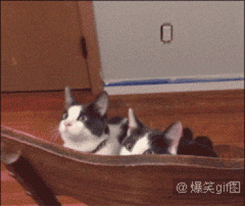 经典搞笑gif图片图片 _ 第(3)张