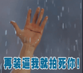 可爱猫咪带字表情包图片第1张