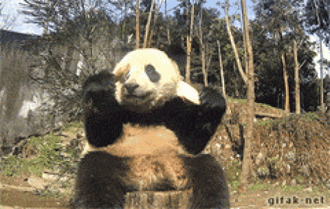 经典搞笑gif图片图片 _ 第(9)张