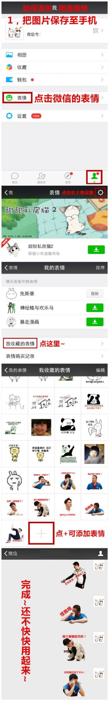 熊猫图片 _ 第(10)张