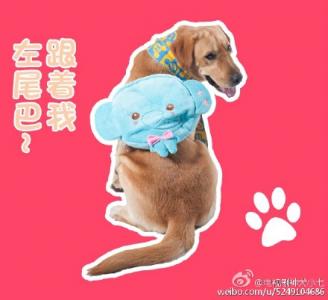 表情包图片 _ 第(2)张