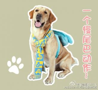 表情包图片 _ 第(4)张