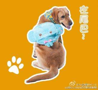 表情包图片 _ 第(6)张