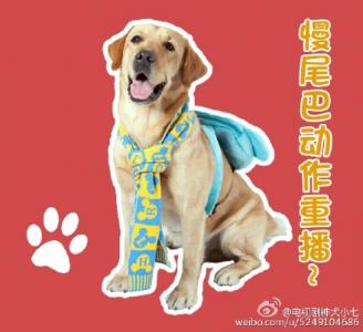 表情包图片 _ 第(7)张