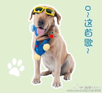 表情包图片 _ 第(8)张