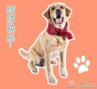 表情包图片 _ 第(9)张