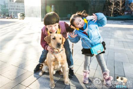 郭碧婷遭高层揽腰l揩油 合影 “媚眼”回应第6张
