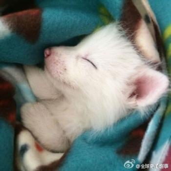 图片 _ 第(2)张 图片 _ 第(2)张