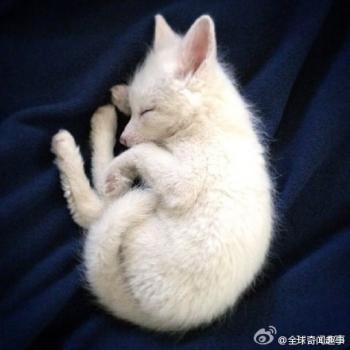 图片 _ 第(10)张