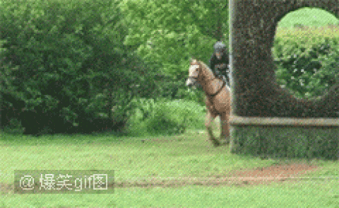 经典搞笑gif图片图片 _ 第(1)张