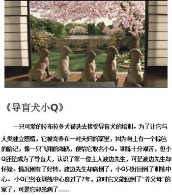 关于狗狗的感人电影有哪些推荐九大感动全球的狗狗电影第3张