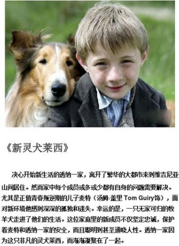 关于狗狗的感人电影有哪些推荐九大感动全球的狗狗电影第6张