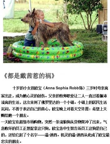电影图片 _ 第(8)张