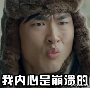 神犬小七帅逼小七版青春修炼手册版高清萌图整理 小七表情包第6张
