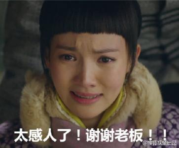 神犬小七帅逼小七版青春修炼手册版高清萌图整理 小七表情包第5张