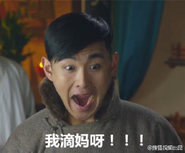神犬小七帅逼小七版青春修炼手册版高清萌图整理 小七表情包第6张