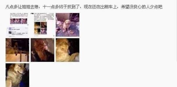 陈学冬图片 _ 第(13)张