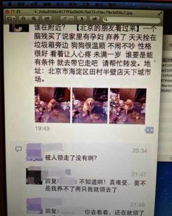 陈学冬图片 _ 第(14)张