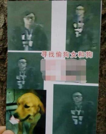 陈学冬图片 _ 第(15)张