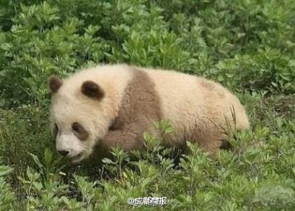 第2张