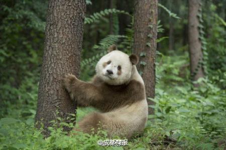 第3张